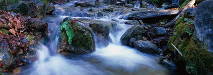 eco image